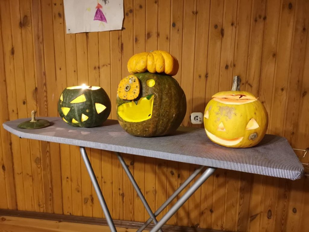 helloween-pumpkins